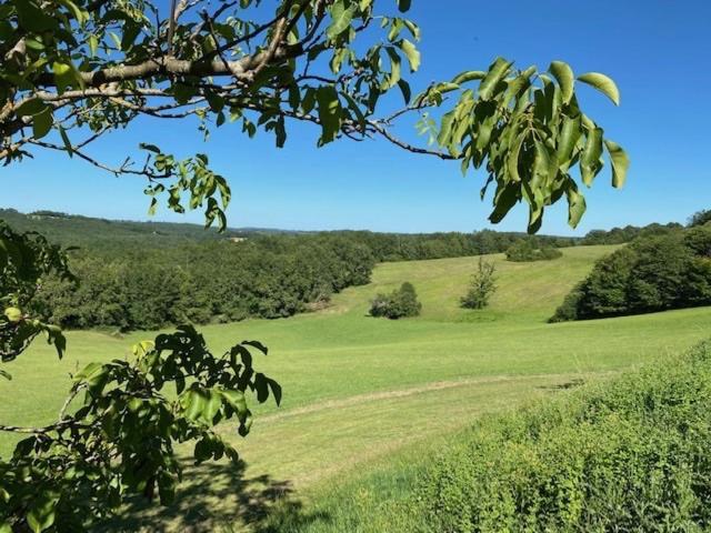 Domaine De Cazal - D'hotes Avec Piscine Au Coeur De 26 Hectares De Nature Preservee *