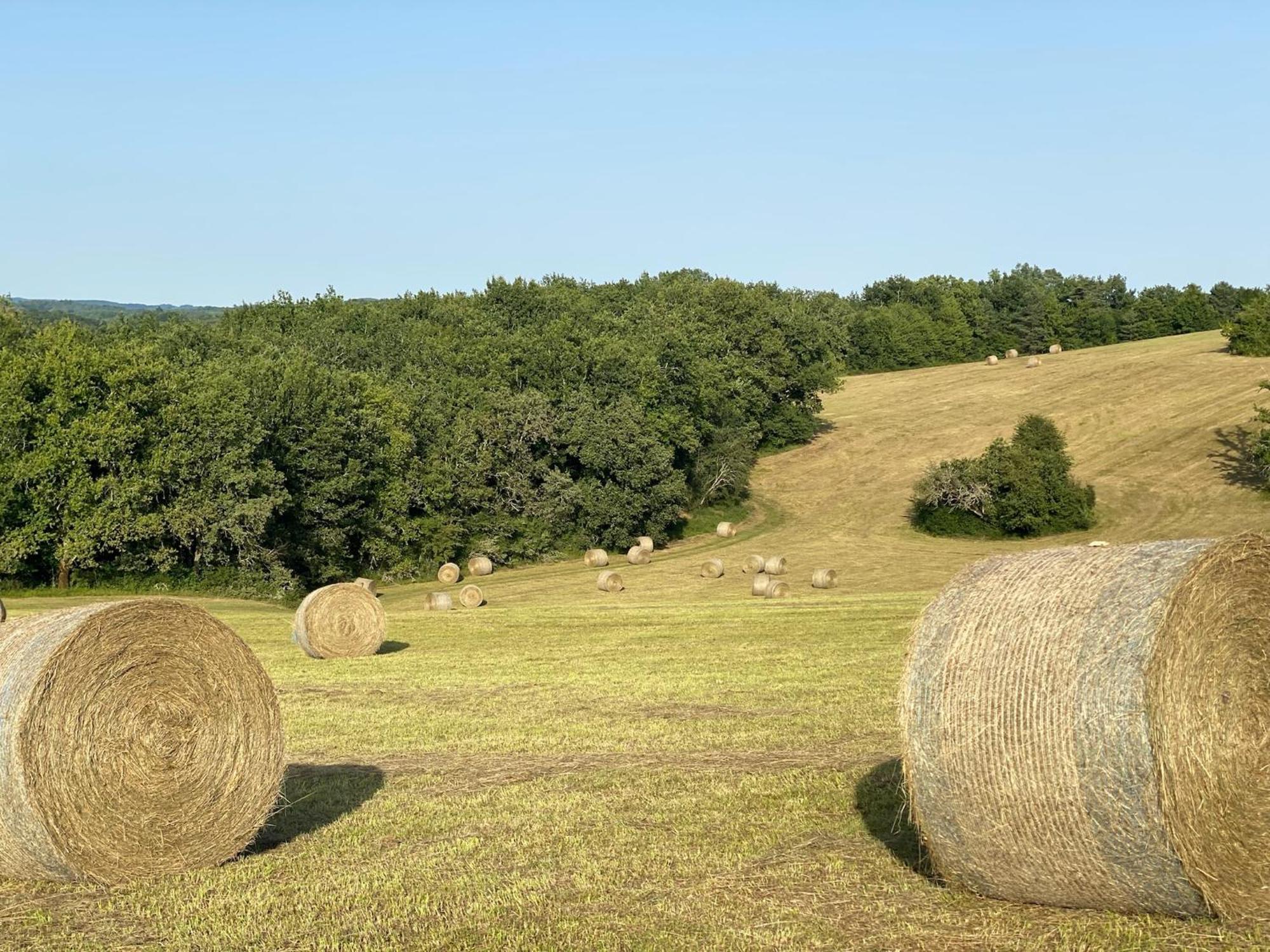 Domaine De Cazal - D'hotes Avec Piscine Au Coeur De 26 Hectares De Nature Preservee